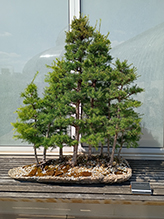 Como Regional Park Como Regional Park