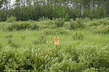 Dalby WMA