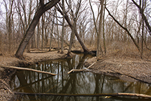 Elm Creek Park Reserve