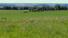 Frenchman’s Bluff SNA