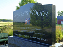 Henry's Woods