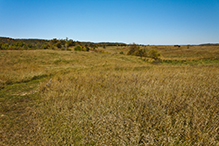 Kasota Prairie