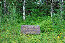 Lake Alexander Woods SNA – Central Unit