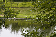 Lake Rebecca Park Reserve