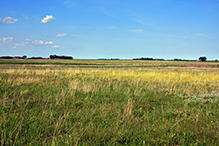 Lundblad Prairie SNA
