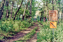 Minnesota Valley National Wildlife Refuge, Louisville Swamp Unit