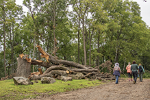 Magelssen Bluff Park