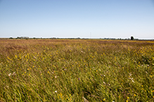 Margherita Preserve-Audubon Prairie