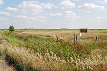 Miller Prairie — West Unit