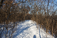Minnehaha Trail