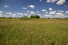 Mound Spring Prairie SNA, North Unit
