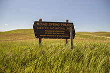 Mound Spring Prairie SNA, South Unit