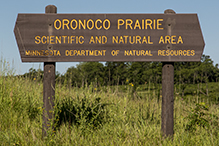 Oronoco Prairie SNA