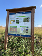 Oronoco Prairie SNA