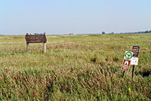 Ottertail Prairie SNA