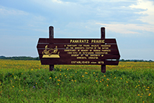 Pankratz Memorial Prairie – North Unit