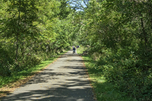Root River State Trail - Lanesboro to Whalan