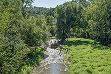 Root River State Trail - Lanesboro to Whalan