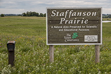 Staffanson Prairie