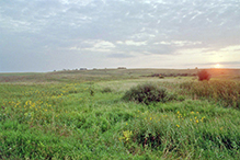 Strandness Prairie