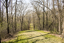 Woodland Trails Park