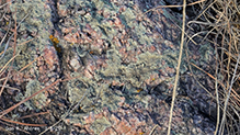 Cumberland Rock Shield