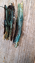 Green Wood Cup