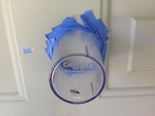 bee fly (villa lateralis)