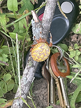 marbled orbweaver 30