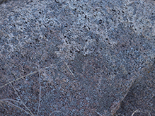 Cinder Lichen - Featured photo