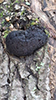 Carbon Balls