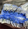 Indigo Milk Cap