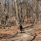 Stanley Eddy Memorial Park Reserve