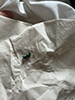 metallic bluish-green cuckoo wasp